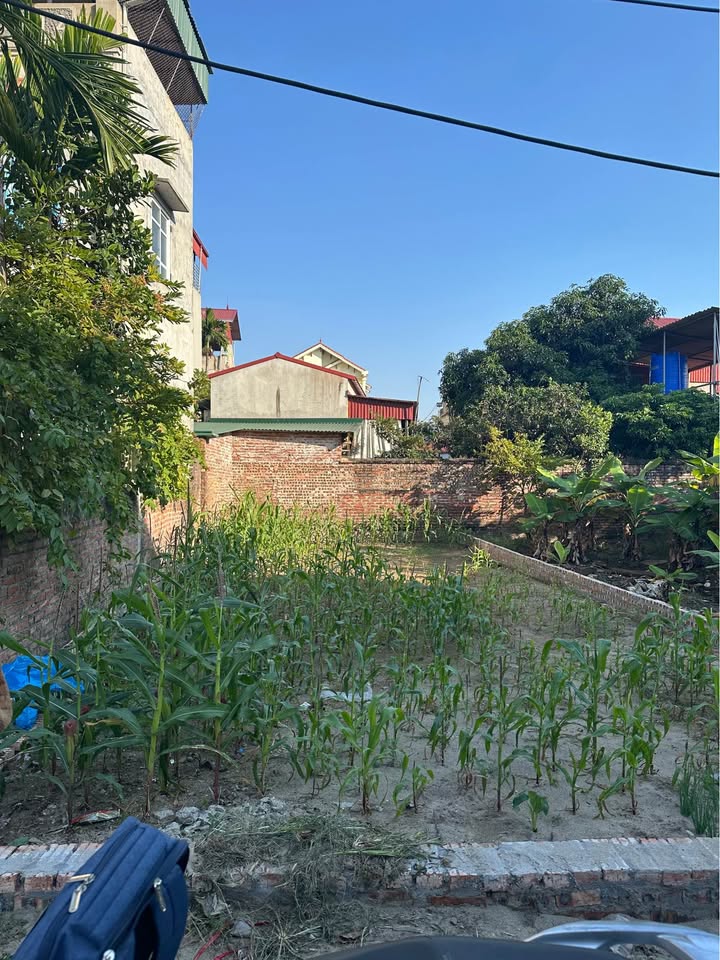 Đất nền An Bình, Thuận Thành, Bắc Ninh 97m² giá 2 tỷ - Gần khu công nghiệp, giao thông thuận lợi!