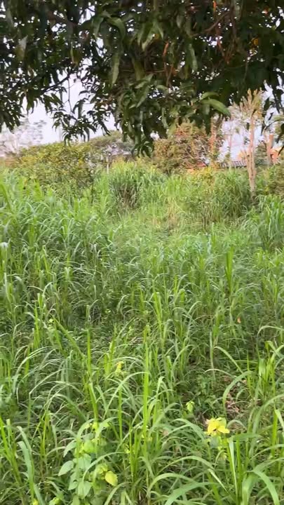 Đất thổ cư Hương Trà 406m² giá chỉ 1.4 tỷ - Cơ hội đầu tư hiếm có!