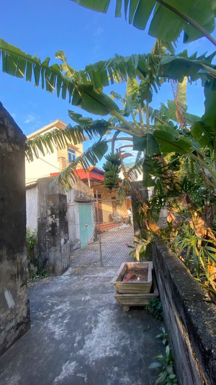 Biệt thự nhà phố 2 tầng Phong Châu Đông Hưng 367m² chỉ 500 triệu - An cư nghỉ dưỡng lý tưởng!