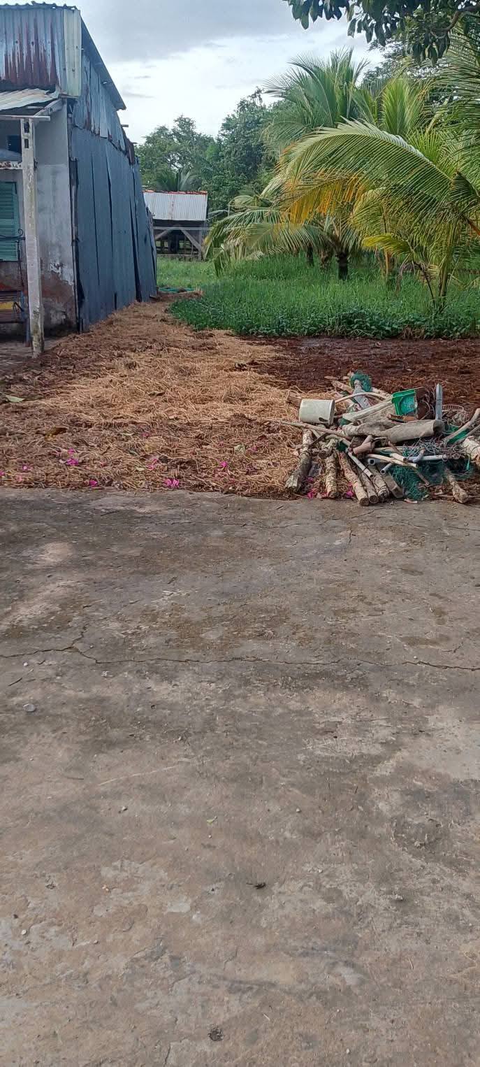 Đất nền ấp Hà Bô, xã Tài Văn, huyện Trần Đề, Sóc Trăng 520m² - Ô tô tới nơi, giá tốt!