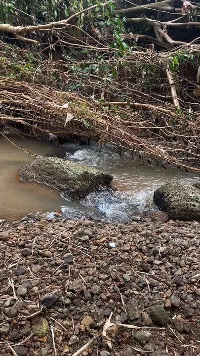 Đất nền sổ đỏ tại Sông Ray, Cẩm Mỹ 1268m² giá 500 triệu - Cơ hội đầu tư tuyệt vời!