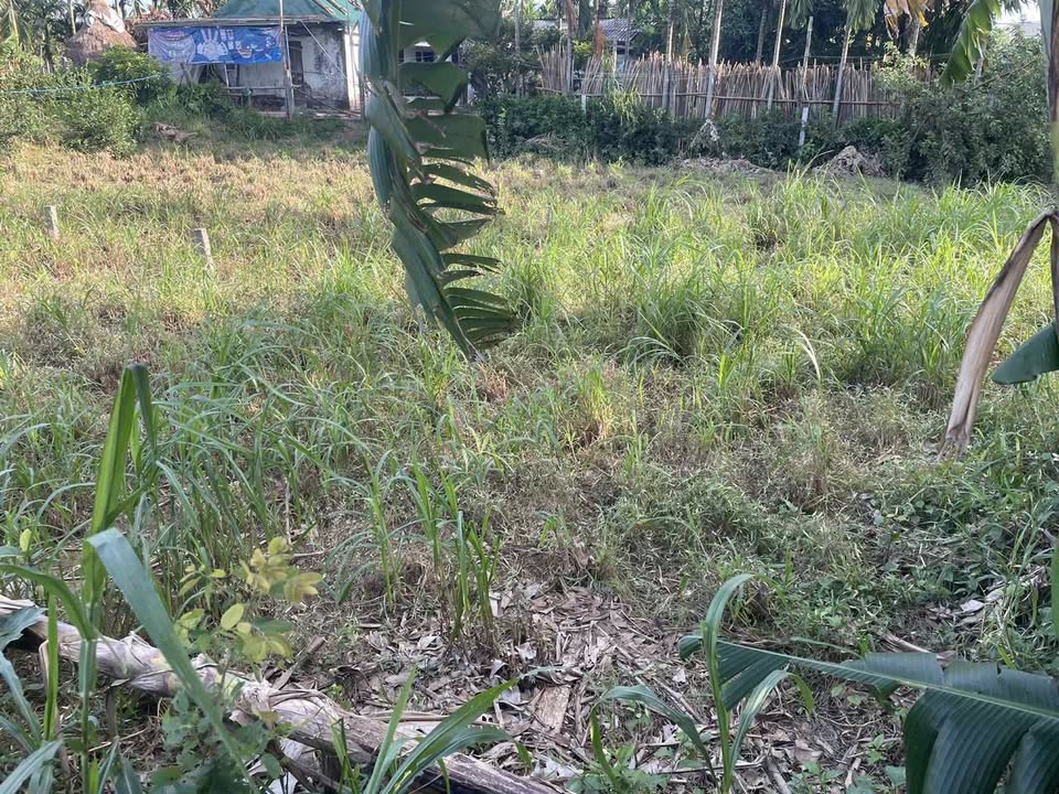 Đất Tịnh An 141m² giá 500 triệu - Hướng Nam tài lộc mát mẻ!