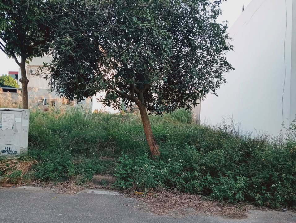 Đất nền Khu đô thị Toàn Gia 1, Kẻ Sặt 72m² - Đầu tư sinh lời ngay!