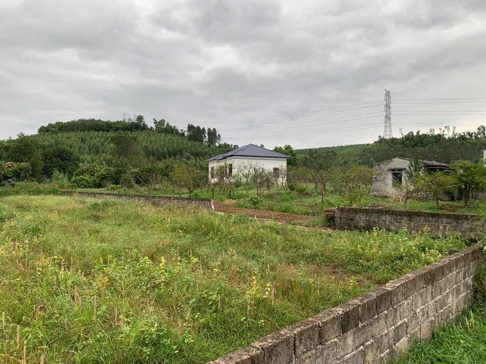 Đất nghỉ dưỡng 630m² phường Trần Hưng Đạo giá 1.3 tỷ - Đầu tư sinh lời, không nên bỏ lỡ!