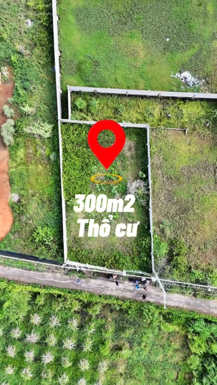 Đất thổ cư 300m² tại Hàm Thắng, 1.99 tỷ - Đường bêtong ô tô vào tận nơi!