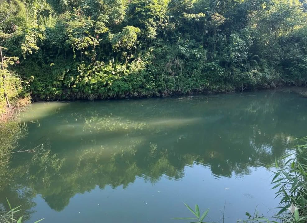 Đất Farm Bản Cầm 7298m² giá 390 triệu - Đầu tư khởi nghiệp lý tưởng!