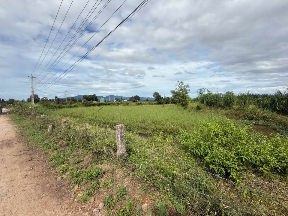 Đất nông nghiệp 1500m² tại Hàm Chính, giá 1.25 tỷ - Tiềm năng phát triển lớn!