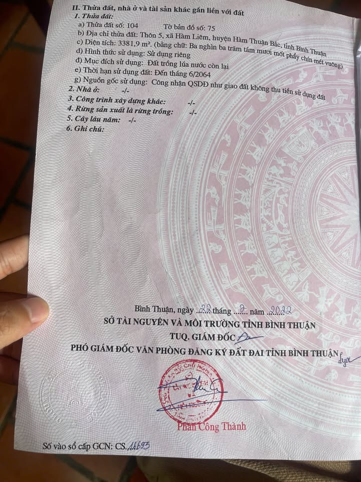 Đất chính chủ 9000m² tại Hàm Liêm, giá chỉ 400 triệu - Cơ hội đầu tư hấp dẫn!