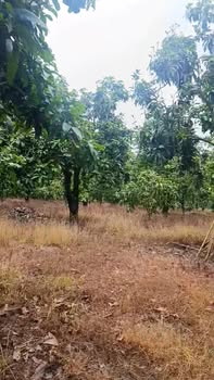 Đất 2800m² La Ngà, Định Quán - Giá chỉ 1.1 tỷ - Đầu tư sinh lời ngay!