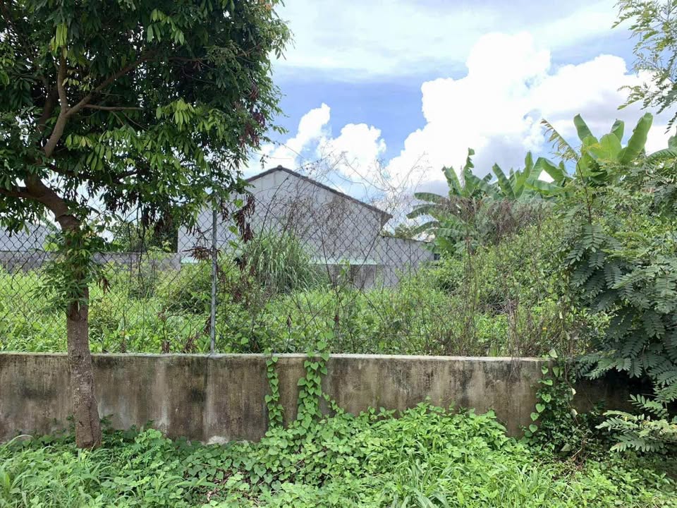 Đất thổ cư Phương Quý 2, Vinh Quang, 426m² giá 500 triệu - Đầu tư sinh lời ngay!