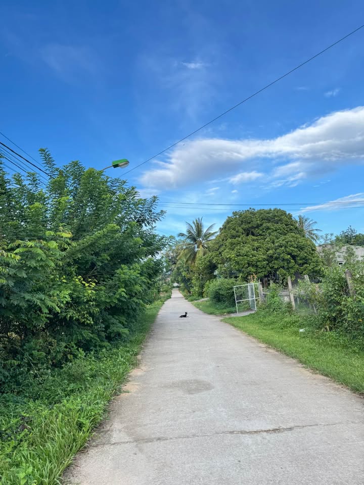 Đất thổ cư mặt đường Thôn 2, Đăk Cấm 420m² giá 610 triệu - Cơ hội đầu tư tuyệt vời!