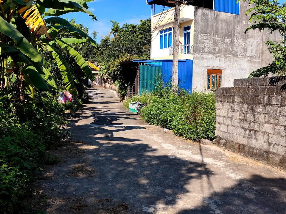 Đất thổ cư Ngõ 88 Đường Tân Thịnh Thái Nguyên 200m² giá chỉ 3 tỷ - Cơ hội đầu tư sinh lời!