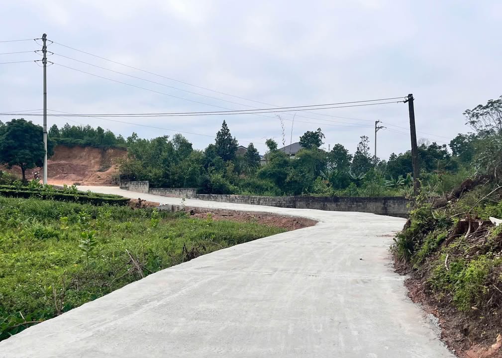 Đất thổ cư 250m² tại Quyết Thắng - Giá 1.9 tỷ, vị trí đắc địa!