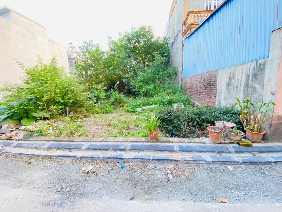 Đất nền Lương Quy, Xuân Nộn, Đông Anh 220m² - Sổ đỏ chính chủ, đầu tư sinh lời ngay!