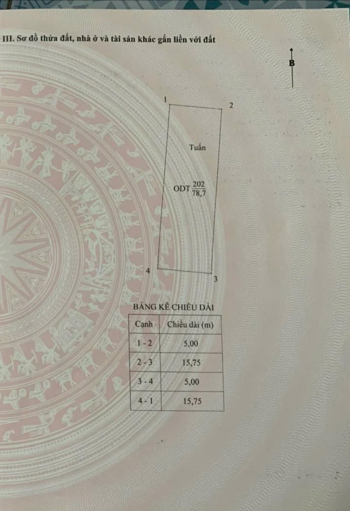 Bán đất phố Yết Kiêu Phủ Lý 78.7m² giá 3.8 tỷ - Vị trí vàng trung tâm!