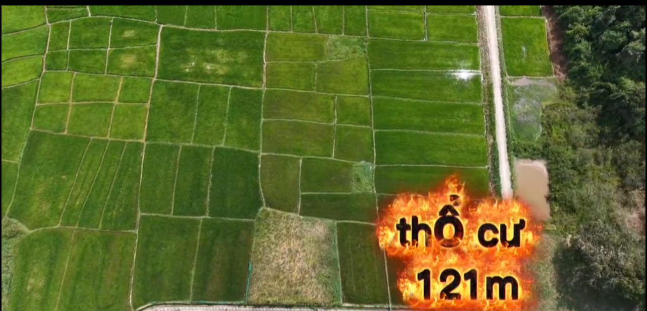 Đất thổ cư Đạ Lây, Đạ Tẻh 121m² giá chỉ 279 triệu - Nhanh tay sở hữu!