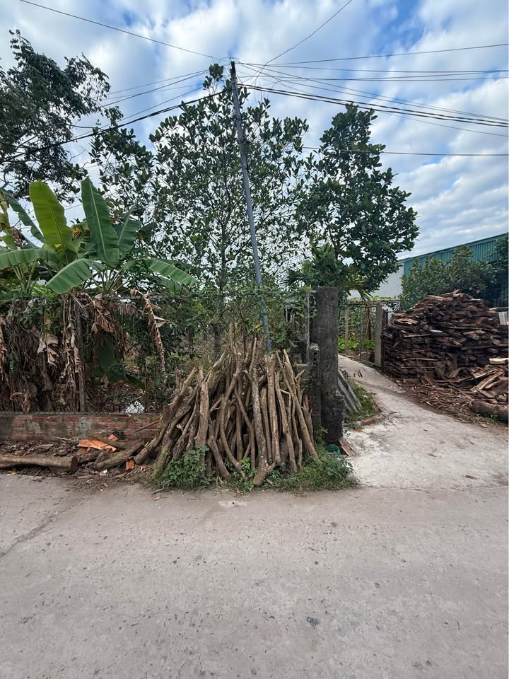 Đất nền ô góc khu phố 5 Hải Yên 100m² giá 1.4 tỷ - Diện tích vuông vắn, vị trí đẹp!