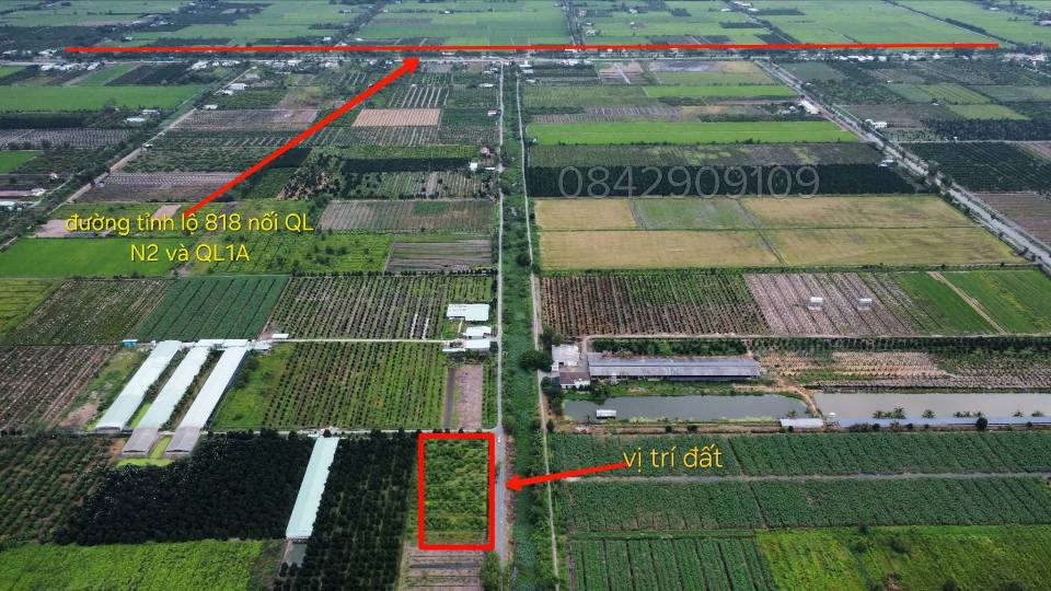 Đất vườn mặt tiền kênh Mỹ Thạnh 520m² giá 450 triệu - Cơ hội đầu tư tuyệt vời!