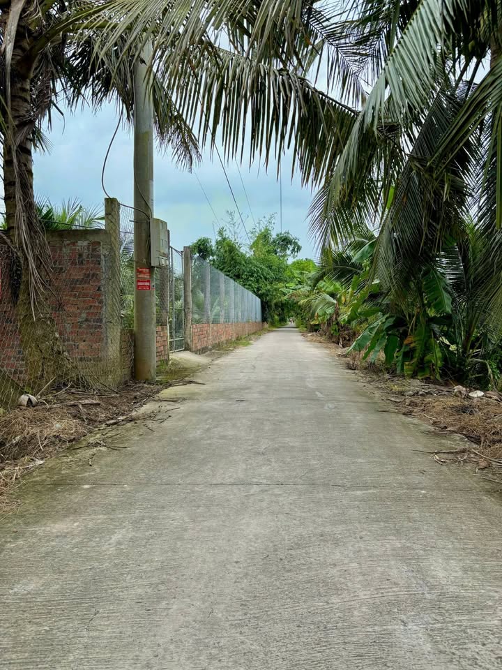 Đất vườn 510m² Nhị Mỹ, Cai Lậy chỉ 580 triệu - Sổ hồng chính chủ!