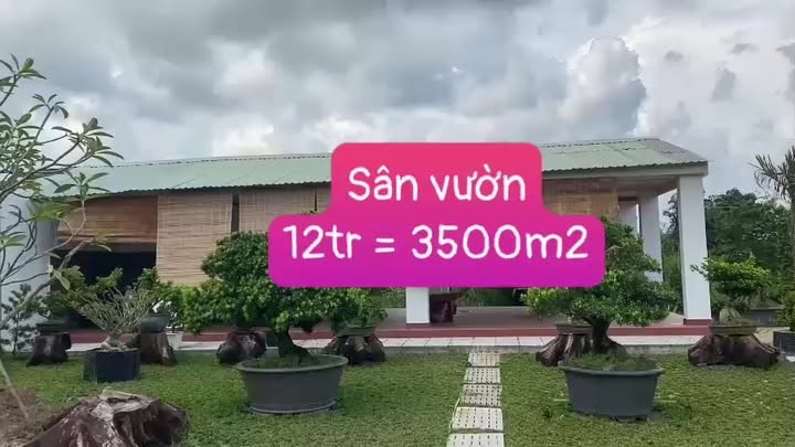 Cho thuê nhà vườn sinh thái 3500m² Tân An Hội - Giá chỉ 10 triệu/tháng!