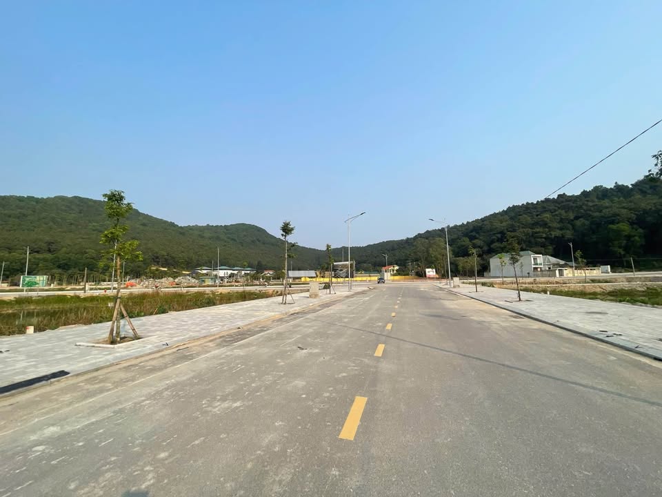 Đất nền đẹp tại đường Thành Đạt, huyện Đông Sơn, 105m² chỉ 1.5 tỷ - Cơ hội đầu tư lý tưởng!