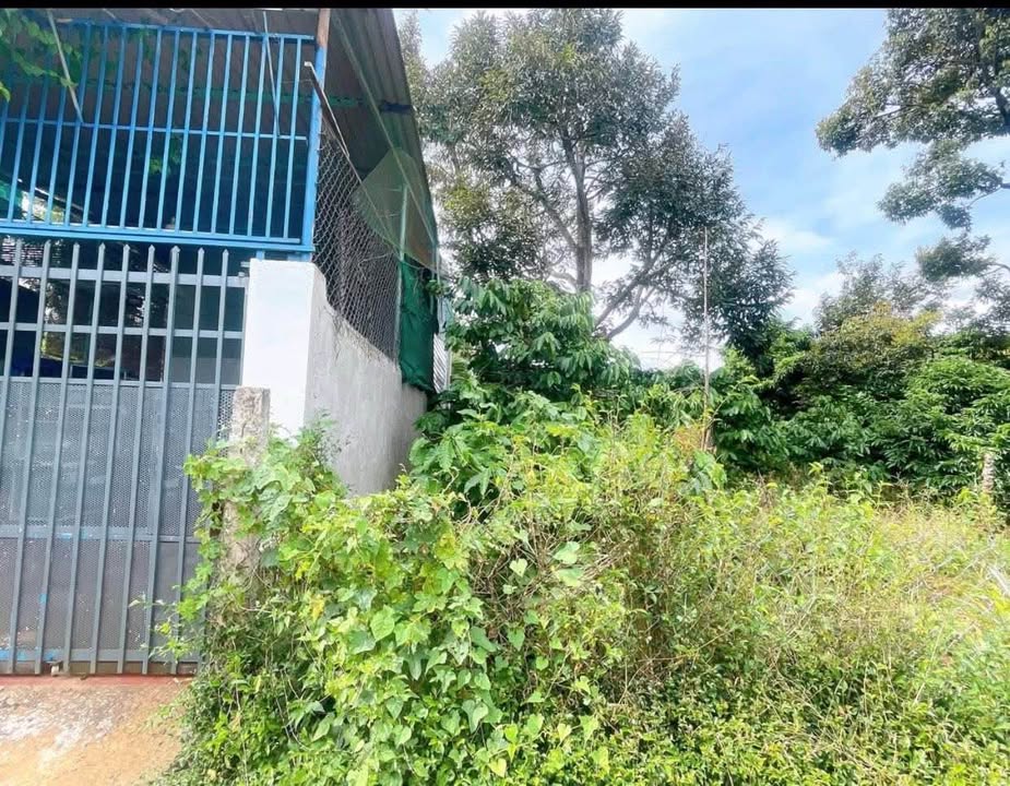 Đất nền Tân Hòa 225m² giá 1.35 tỷ - Cơ hội đầu tư tuyệt vời!