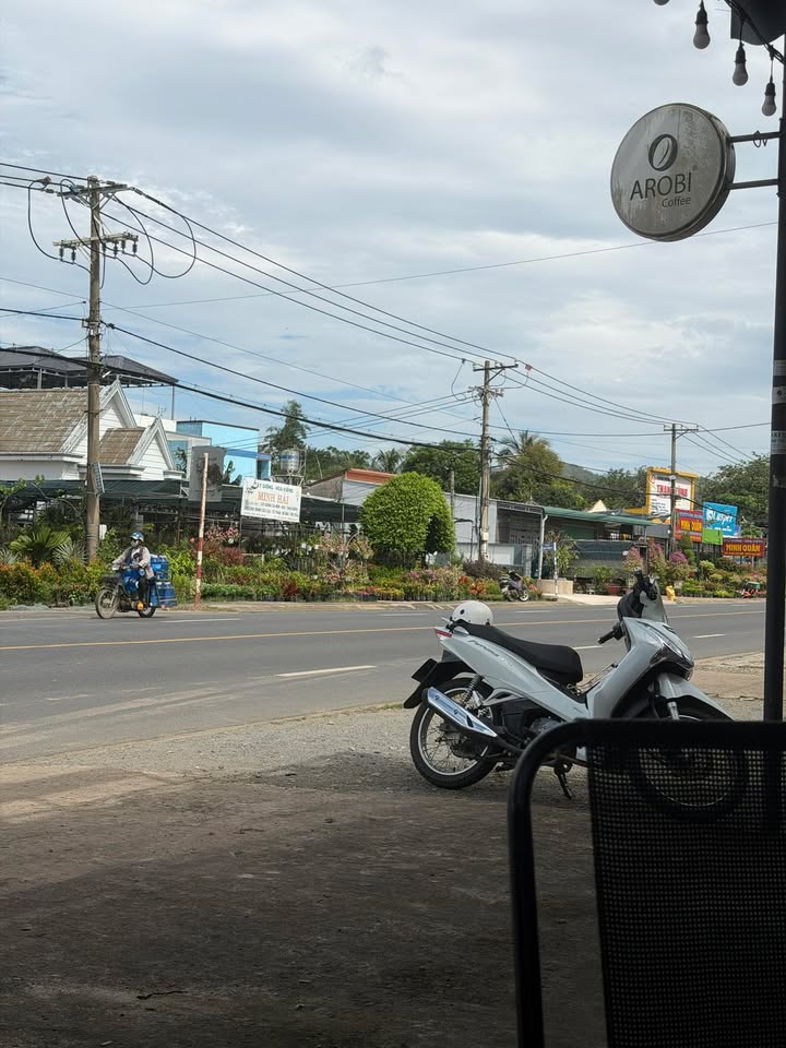 Bán đất Cây Giống Minh Quân, xã Phú Lâm, 1225m² - Mặt tiền đường lớn, giá tốt!