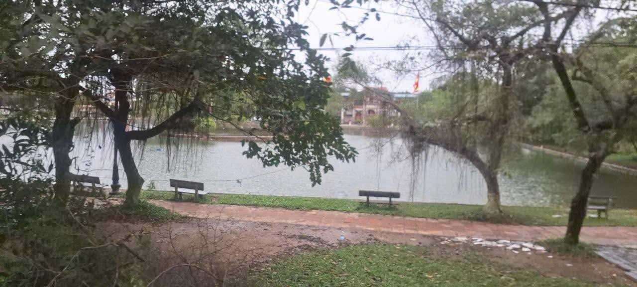 Đất Cổ Loa Đông Anh 97m² giá chỉ 6 tỷ - Mặt tiền 7m cực hiếm!