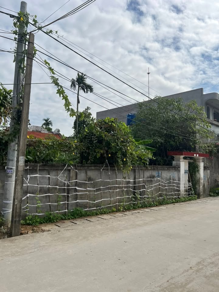 Lô đất Tiên Thanh 102.6m² giá 1.6 tỷ - Vị trí đắc địa đầu tư sinh lời!