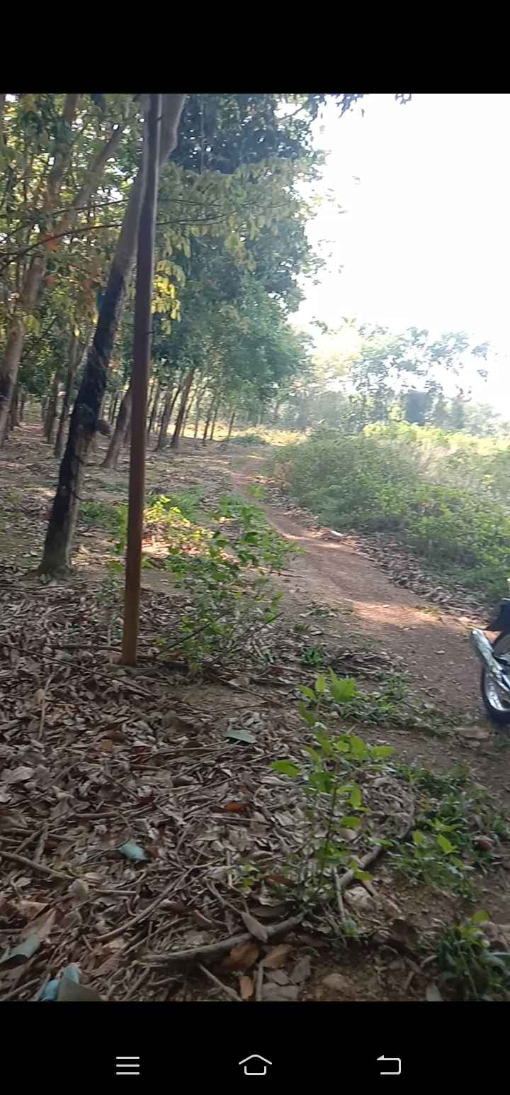 Đất nền Tân Phước 3600m² giá 770 triệu - Gần chợ Cây Điệp, view suối