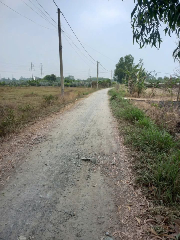 Đất vườn Hòa Phú, Củ Chi 787m² giá 2.2 tỷ - Cơ hội đầu tư tuyệt vời!