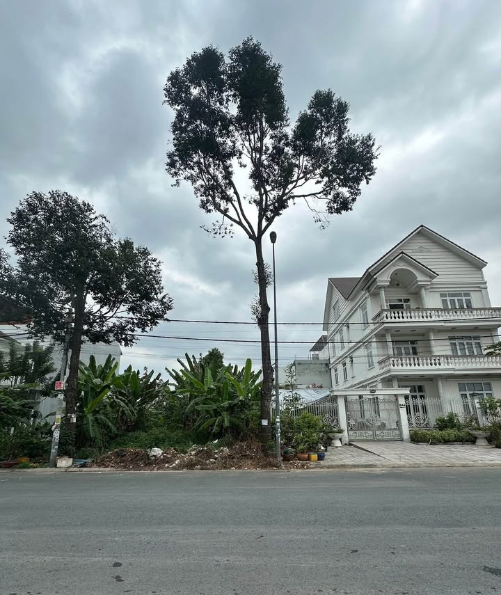 Bán đất nền biệt thự KDC Long Thịnh, Cần Thơ 180m² giá 8 tỷ - Vị trí đắc địa, pháp lý rõ ràng!