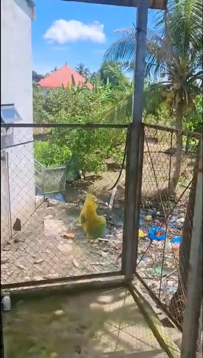 Nhà mặt tiền 195m² xã Mỹ Phước Tây, Cai Lậy - Giá chỉ 700 triệu!