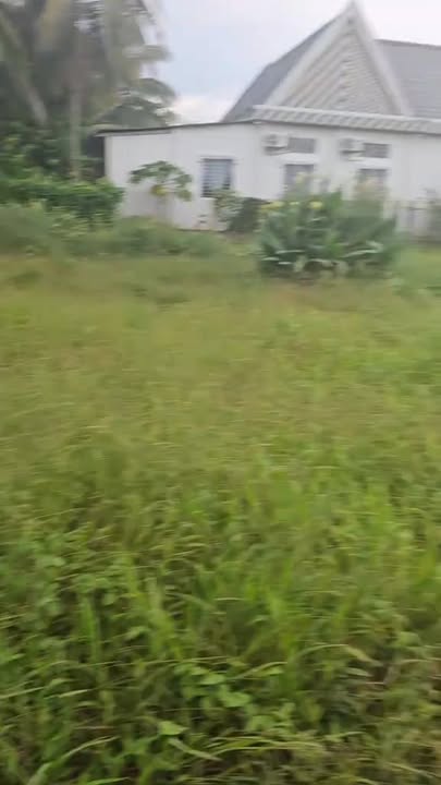 Đất mặt tiền Phú Cường, Cai Lậy 300m² giá 380 triệu - Cơ hội đầu tư tuyệt vời!