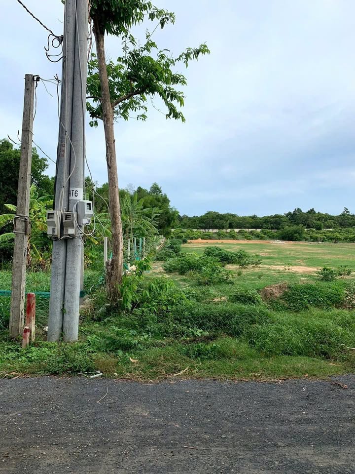 Đất nền Bông Trang, Xuyên Mộc, 1252m² giá 2.6 tỷ - Gần biển, đầu tư sinh lời!