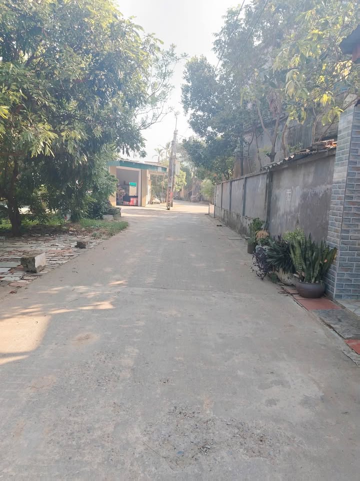 Đất nền Minh Khai Vũ Thư 85,5m² giá chỉ 300 triệu - Cơ hội đầu tư tuyệt vời!