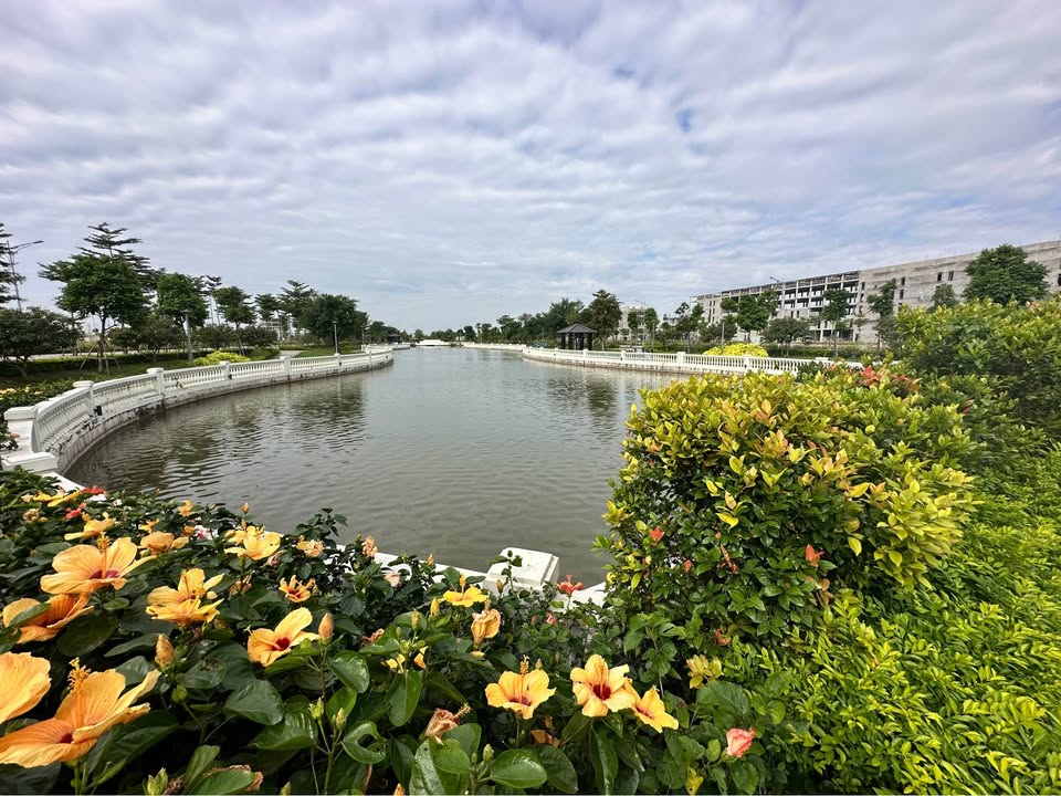 Đất nền KĐT Bắc Cầu Hàn, Hải Phòng 296m² giá chỉ 30 triệu/m² - Cơ hội vàng cho nhà đầu tư!