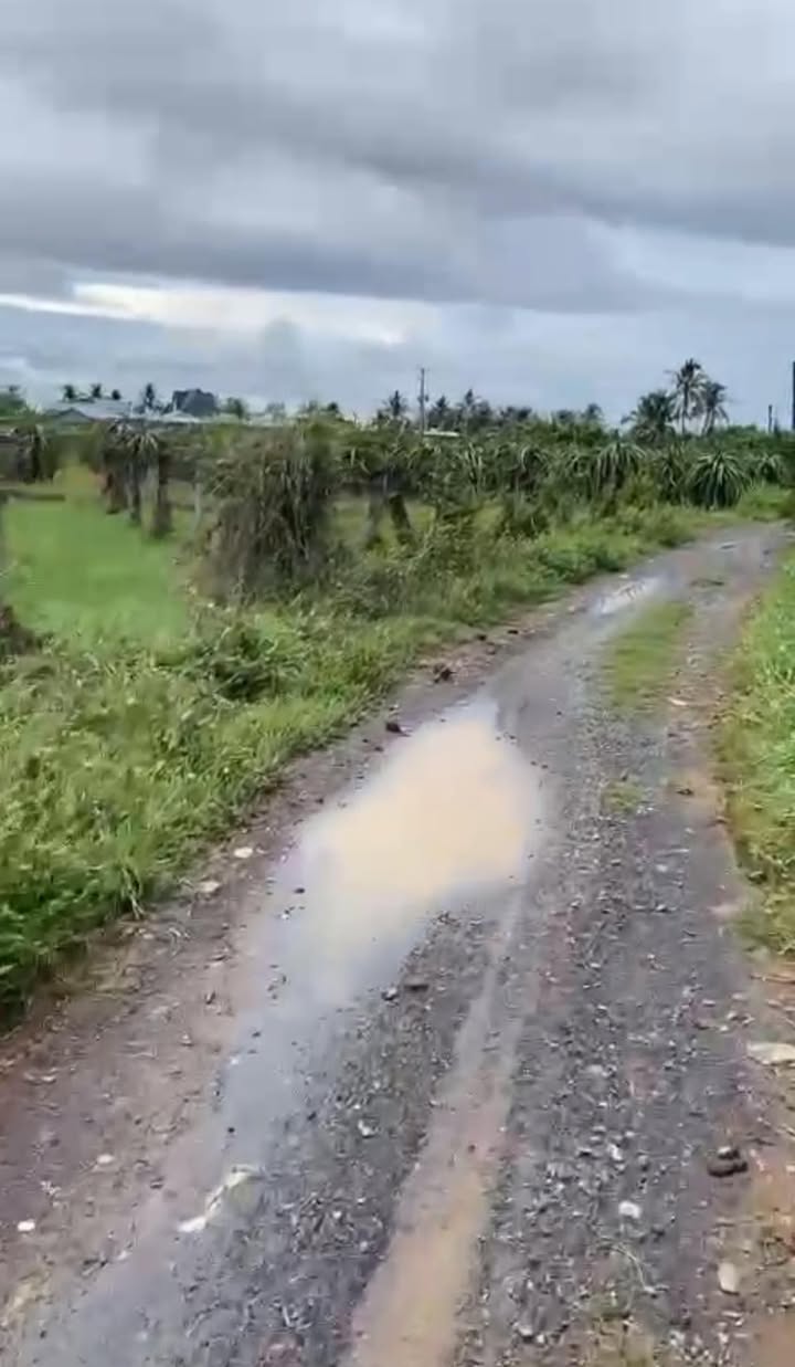 Đất thổ cư 1 sào 2 tại Hàm Mỹ, giá chỉ 1.2 tỷ - Cơ hội đầu tư tuyệt vời!