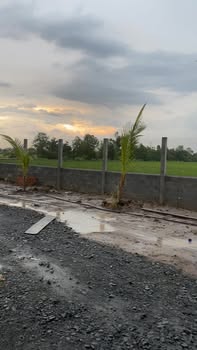 Nhà vườn 1240m² tại Thạnh Đức, Bến Lức - Giá chỉ 2.999 tỷ, vào ở ngay!