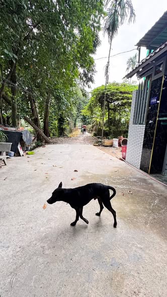 Đất Bình Nhâm 57m² giá 1.35 tỷ - Cơ hội đầu tư hiếm có!