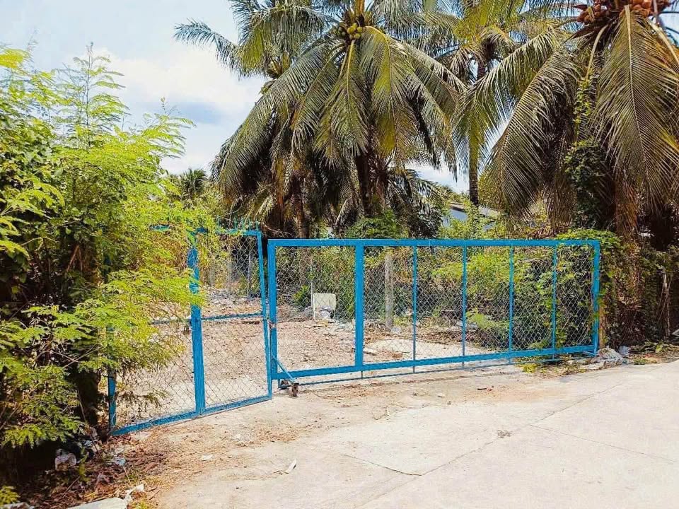 Đất Ấp 1, Trung An, Mỹ Tho 295.4m² - Gần chợ và trường học, Giá 1.9 tỷ!