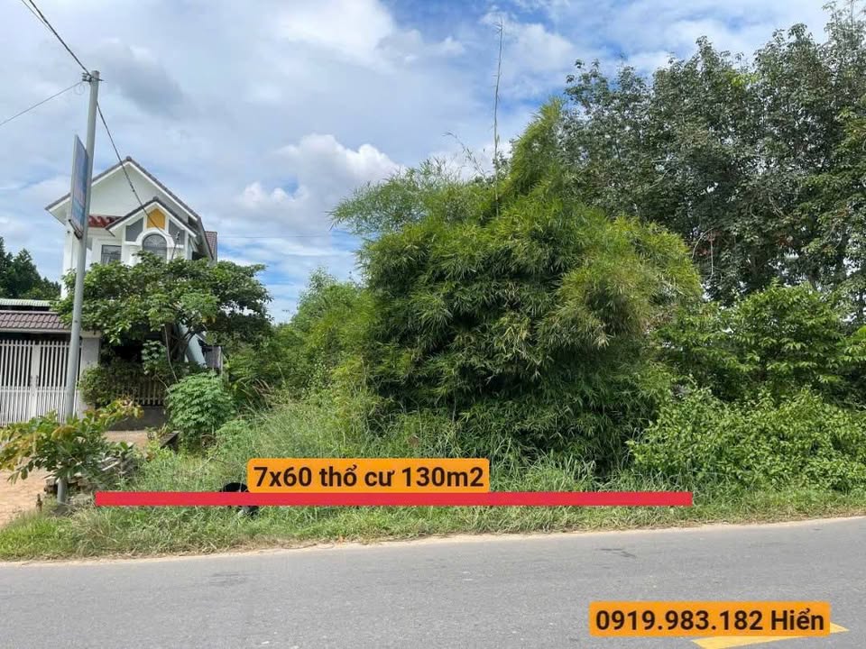 Đất nền ấp 6 Bàu Đồn 420m² giá 390 triệu - Cơ hội đầu tư tuyệt vời!