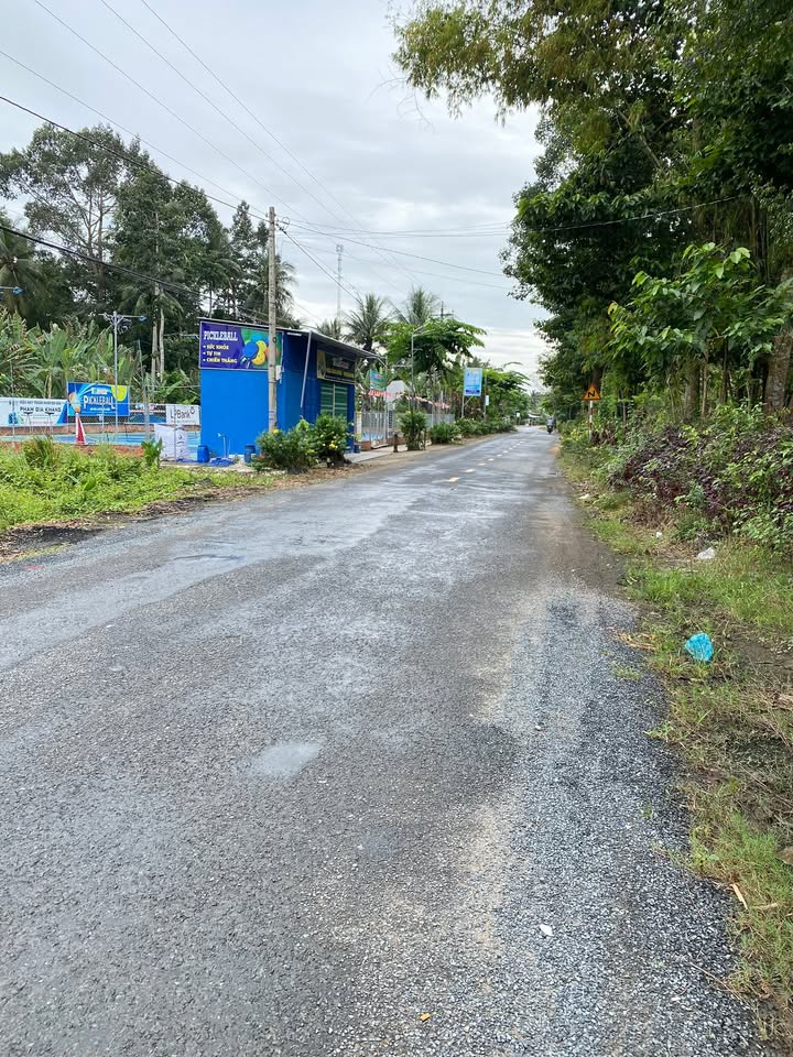 Đất mặt tiền đường huyện 29, Ấp Giồng Lớn, Trà Vinh 300m² - Cơ hội đầu tư hấp dẫn!