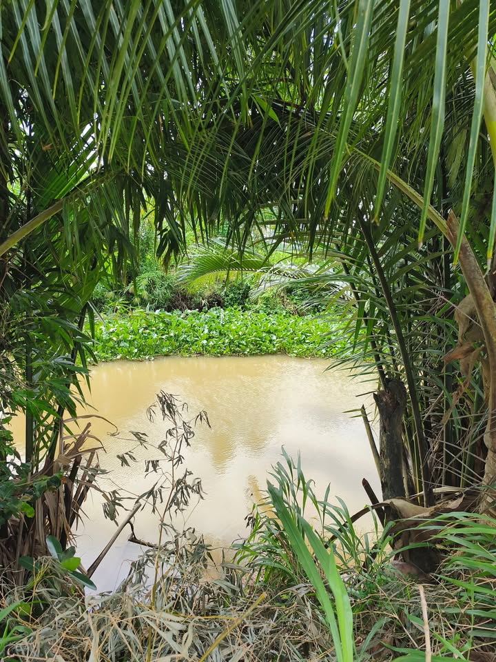 Đất nền 6500m² mặt tiền Đá Lớn, Châu Thành, Trà Vinh - Giá 693 triệu, đầu tư sinh lời!