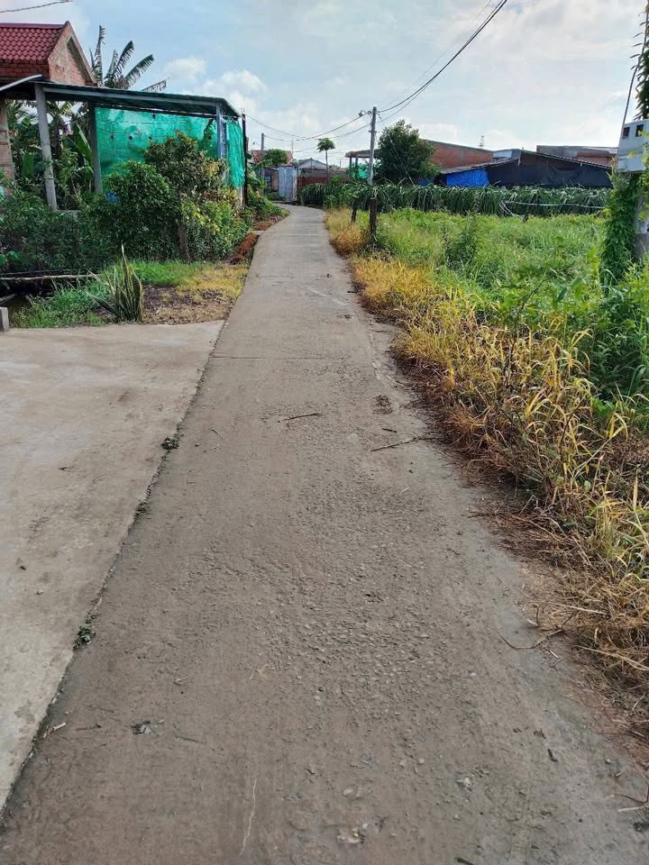 Đất thổ cư mặt tiền Đội 9, Chợ Gạo 392m² giá chỉ 1.1 tỷ - Cơ hội đầu tư tuyệt vời!