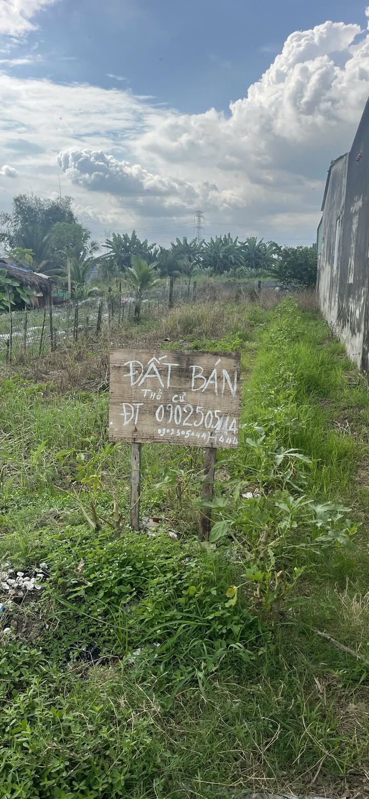 Đất thổ cư tại Bình Đức, Tân Trụ 154m² giá 950 triệu - Pháp lý rõ ràng, giao dịch nhanh!