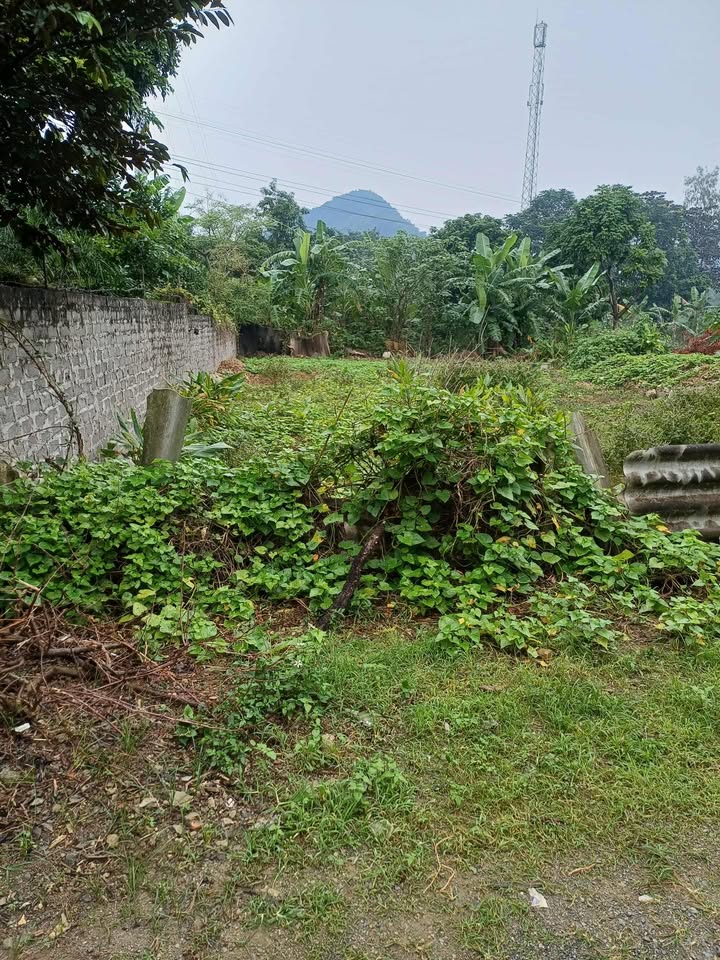 Nhà riêng tại Nam Sơn, Tam Điệp 100m² giá 600 triệu - Vị trí thuận lợi, dân cư đông đúc!