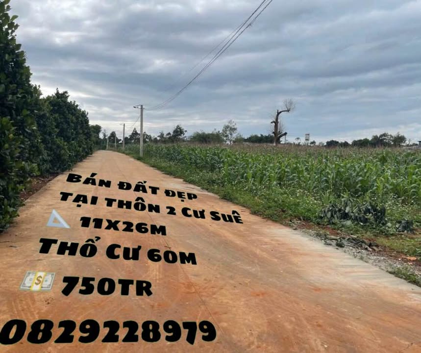 Đất nền đẹp tại thôn 2 Cư Suê, 286m² chỉ 750 triệu - Cơ hội đầu tư tuyệt vời!
