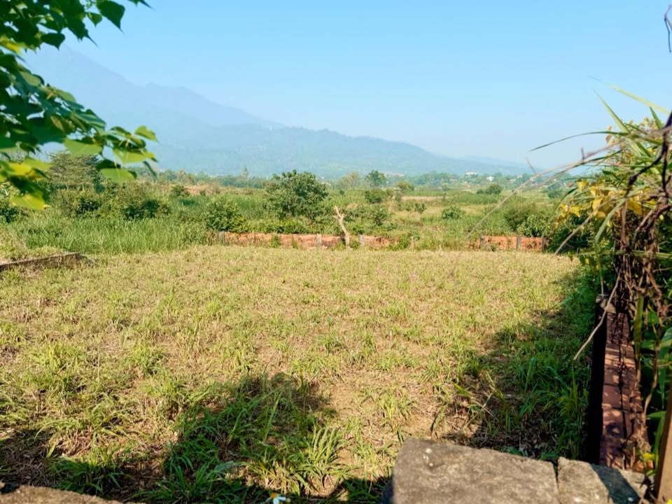 Đất nền Yên Bài Ba Vì 1800m² giá 2 triệu - View núi cánh đồng tuyệt đẹp!