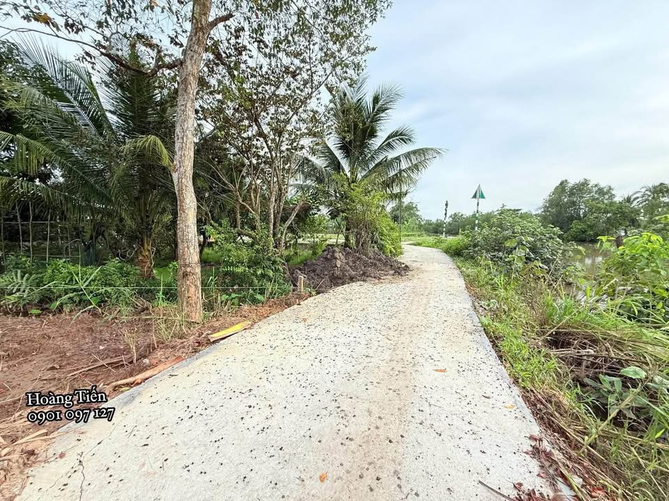 Đất nền Ngãi Tứ, Tam Bình, Vĩnh Long 117m² giá 239 triệu - Gần chợ đầu mối đang hình thành!